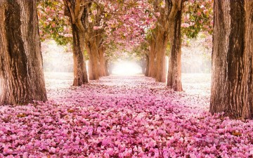 ピンクの花の道の木の風景画 写真からアートへ Oil Paintings